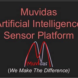Muvidas pitch
