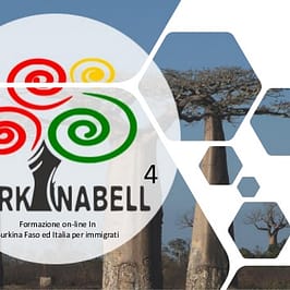 Burkinabell Startup