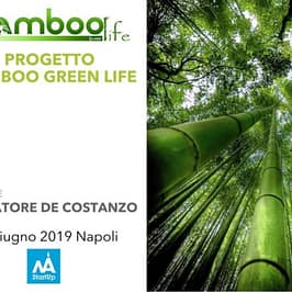 Bamboo green Life startup